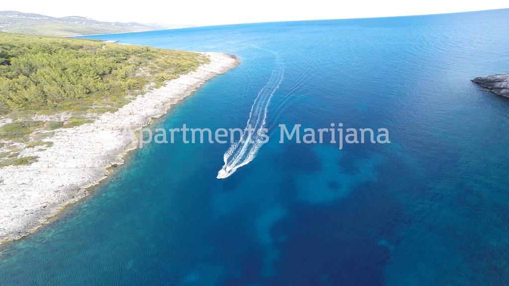 Marijana * Zavalatica