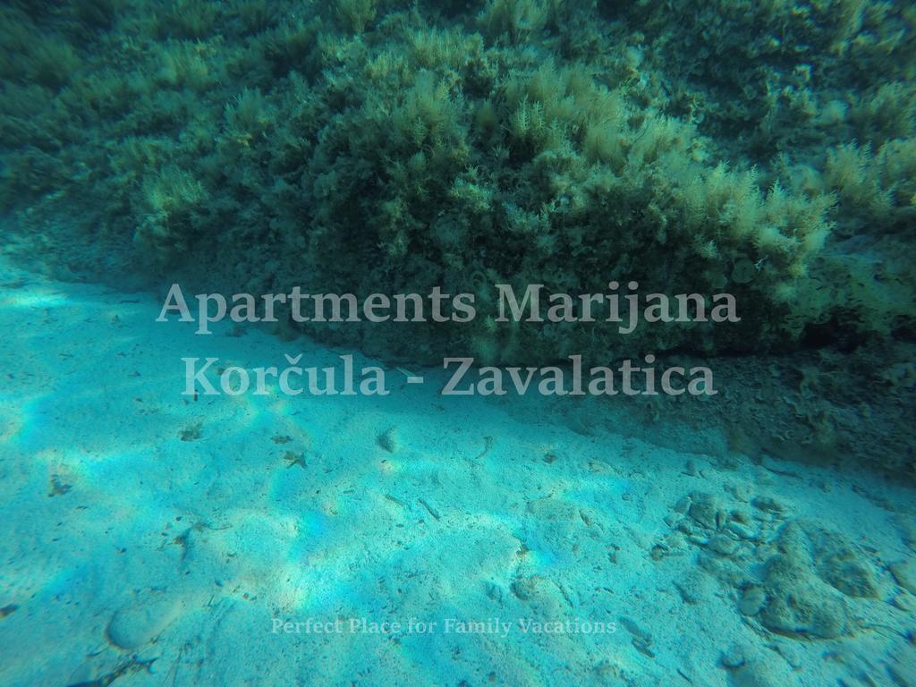 Marijana Apartment *