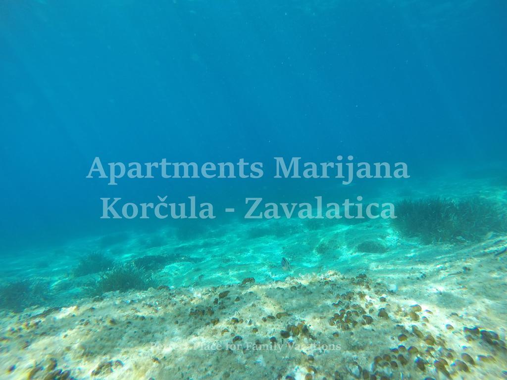 Apartment Marijana